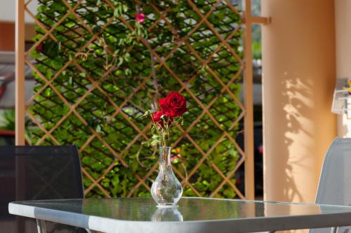 Fotografie z fotogalerie ubytování Petra Thea Apartments 2 v destinaci Kalamata