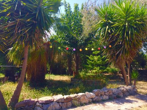 a garden with palm trees and a string of lights at Ionos in Pyrgi Thermis