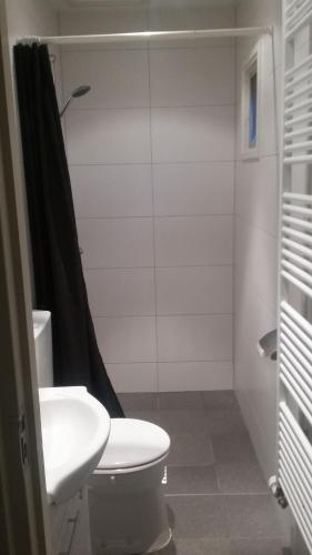 オンメンにあるVechtdalhuisje 16のバスルーム(トイレ、洗面台、シャワー付)