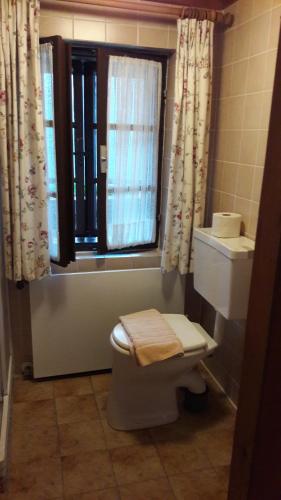 a bathroom with a toilet and a window at Appartements Grafhube in Verditz