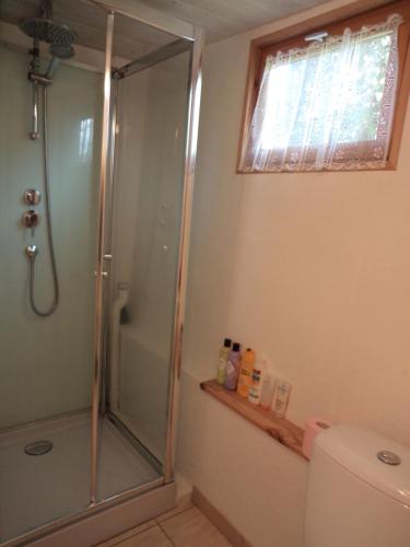 a bathroom with a shower and a toilet at The Studio in Saint-Ségal