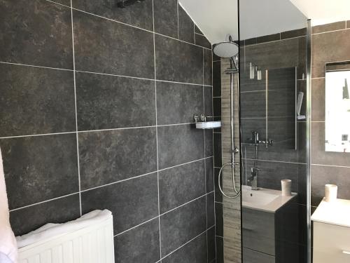 a bathroom with a shower and a sink at Entre Roche & Meuse in Hastière-par-delà