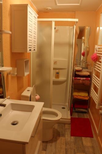 y baño con ducha, aseo y lavamanos. en Appartement T1 en Dun-les-Places