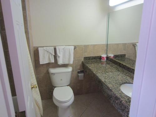 a bathroom with a toilet and a sink and a mirror at Starlight Inn Canoga Park in Canoga Park