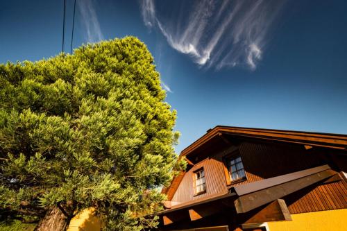 a house with a tree next to a building at Sun Chalet in Schladming