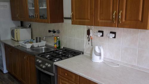 Kuchyň nebo kuchyňský kout v ubytování Chata Sovička Podhájska