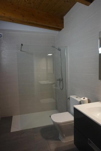 a bathroom with a shower and a toilet and a sink at Apartamento Culfreda in San Juan de Plan