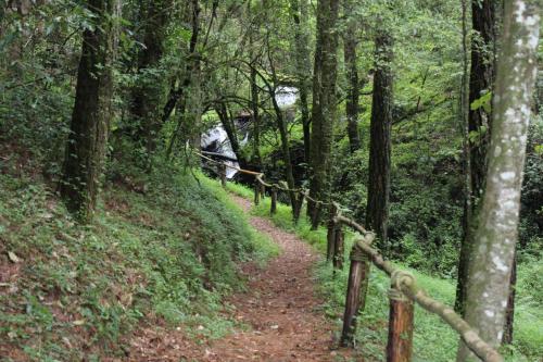 a trail in the woods with a fence at Cabañas Alpinas López Fontes in Valle de Bravo