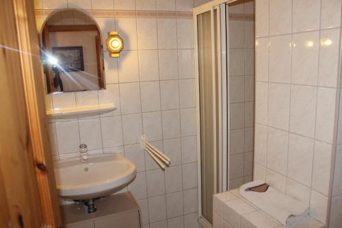 a bathroom with a sink and a mirror and a toilet at Leitingerhof in Thalgau