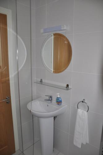 a bathroom with a sink and a mirror at Delphi Lodge in Donaghmore