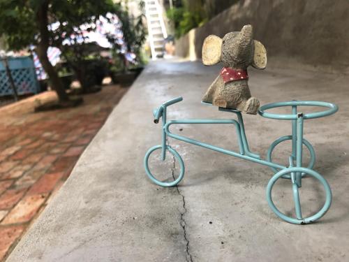 a teddy bear is sitting on a blue bike at No. 6 Cuobian Hostel in Shantou