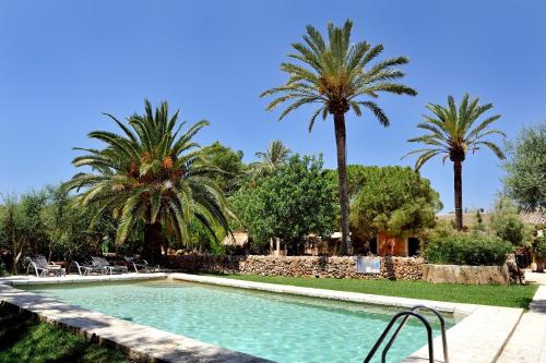 a swimming pool with palm trees in a yard at Petit Hotel Es Figueral in Campos