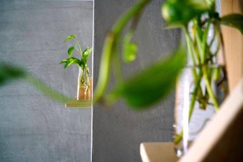 a green plant in a vase on a wall at The Red Hotel in Nanwan