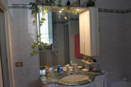 フォルリにあるB&B La Doganaのバスルーム(洗面台、鏡付)