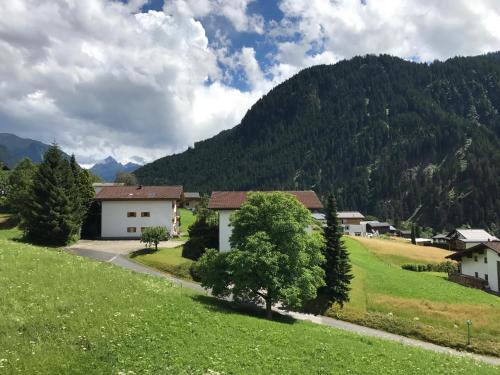 a village in the mountains with a green field at Appartements Ausblick in Sankt Gallenkirch