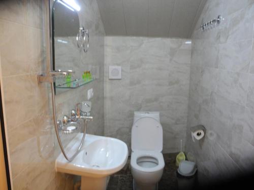 een badkamer met toilet en wastafel bij Cherdachok in Tbilisi City