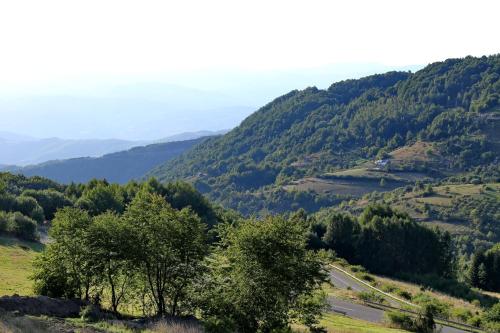Gallery image of Astoria Lux - K16 Milmari in Kopaonik