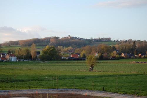 a green field with a tree in the middle at Ferme Delgueule in Tournai