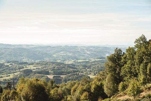a view of a valley from a hill with trees at Gîte " Orée des bois" in Vertolaye