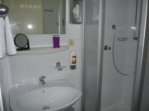 Hotel Carolinenhof tesisinde bir banyo