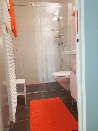 a bathroom with a shower and a toilet and a red rug at Appartement d'hôtes An Kaz La in Crans-Montana
