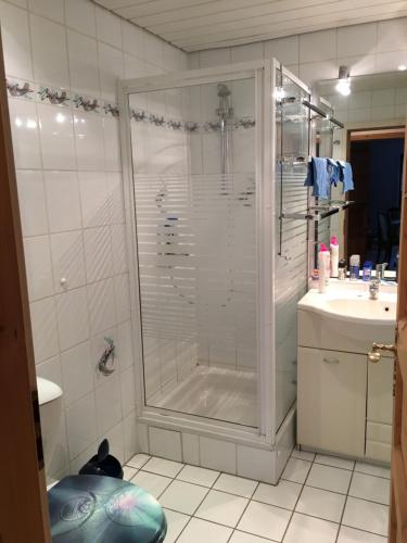 Kylpyhuone majoituspaikassa Ferienwohnung Jucarm
