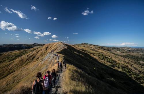 a group of people walking up a hill at B&B RIPALTA in Sogliano al Rubicone