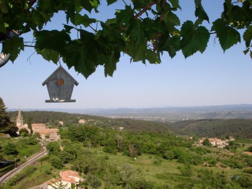 a bird house hanging from a tree branch at Auberge de la Tour de Brison in Sanilhac