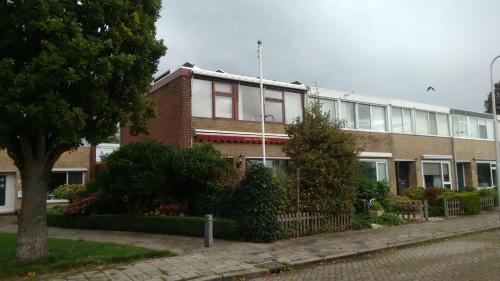 een bakstenen gebouw met een boom ervoor bij Bordine Guesthouse in Leeuwarden