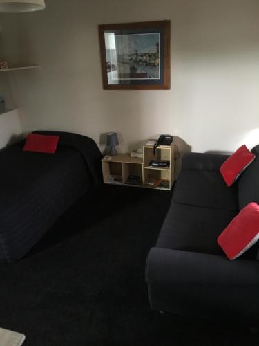 a living room with a black couch and red pillows at Mount View Motel Hawera in Hawera