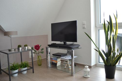 ein Wohnzimmer mit einem TV auf dem Tisch mit Pflanzen in der Unterkunft Steuerbord in Horumersiel