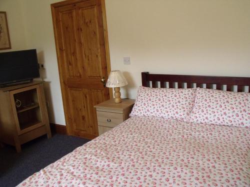 1 dormitorio con 1 cama y mesa con TV en cosy ground floor disabled friendly room in farm house, en Bala