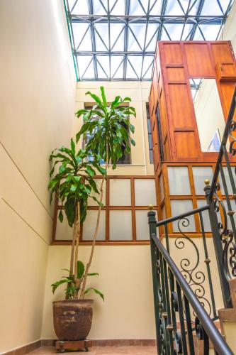 a staircase with two potted plants in a building at Sam'S VIP Hostel San Gil in San Gil