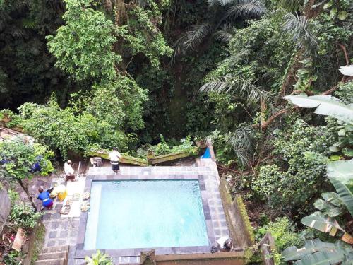 Gallery image of Anggrek Mas Bed & Breakfast in Ubud