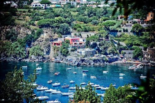 Φυσικό τοπίο κοντά σε αυτό το ξενοδοχείο