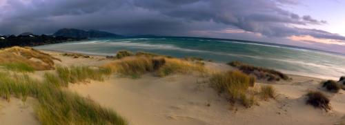 a view of a beach with the ocean and grass at Eagle Peaks at Freycinet in Coles Bay