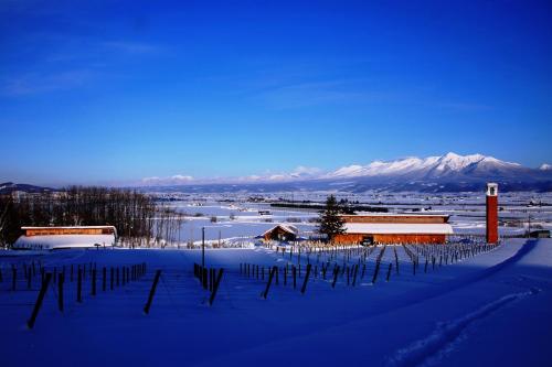 a field covered in snow with mountains in the background at Pension Ashitaya in Furano