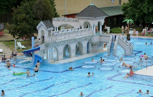 a group of people playing in a swimming pool at Apartman Rosé in Eger