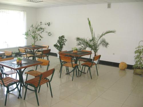 a dining room with tables and chairs and plants at Vian Guest House in Truskavets