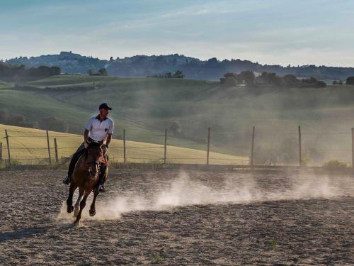 a man riding a horse in a dirt field at Casale Talevi in Cartoceto