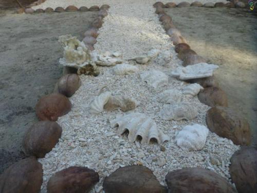 a group of rocks and fossils on the ground at Nyang Ebay Surf Camp Siberut in Masokut