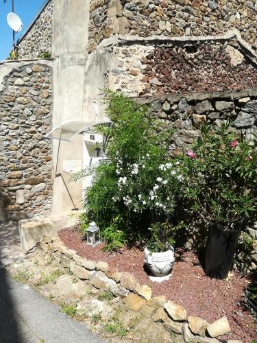 un jardín con flores frente a una pared de piedra en Un temps pour soi, en Serrières