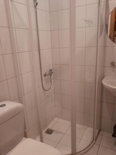 uma casa de banho com um chuveiro, um WC e um lavatório. em Gazdų Vandens Malūnas em Navininkai