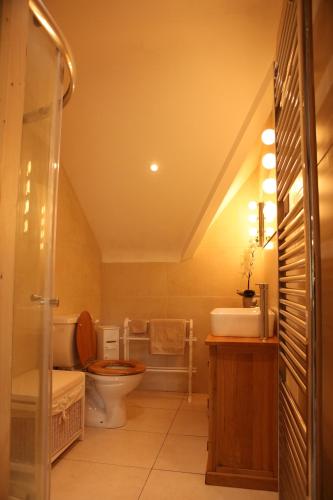 a bathroom with a toilet and a sink at Cuilcagh Luxury Apartment in Enniskillen