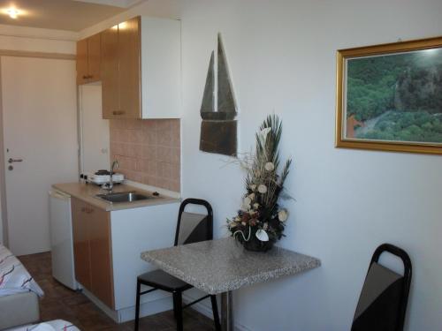 Kuchyň nebo kuchyňský kout v ubytování La Santre Villa