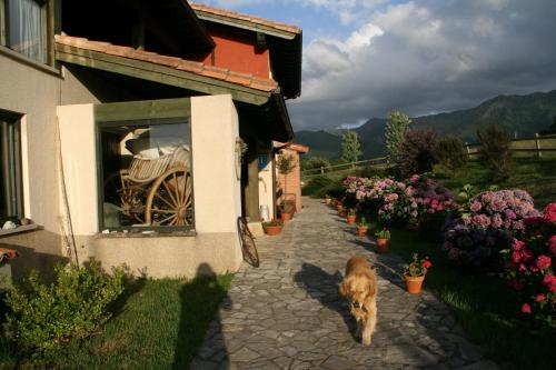 Питомец или питомцы в Paraje del Asturcon - Adults only