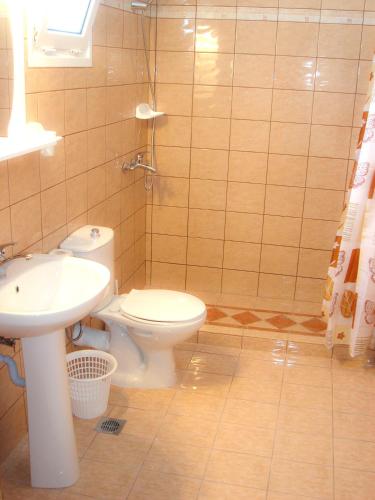 a bathroom with a toilet and a sink at Dorana Apartments & Trekking Hotel in Diafani