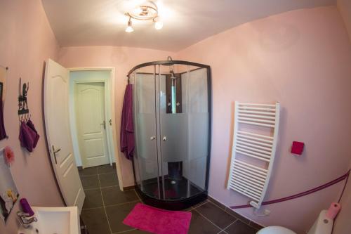 La salle de bains est pourvue d'une douche et d'un miroir. dans l'établissement Le petit manoir, à Farceaux