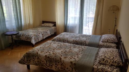 Afbeelding uit fotogalerij van Celebrity in Kamjanets-Podilsky