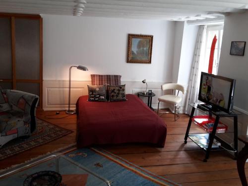 コンスタンツにあるAltstadtapartment Wilde Frauのベッドルーム1室(赤い毛布付きのベッド1台付)